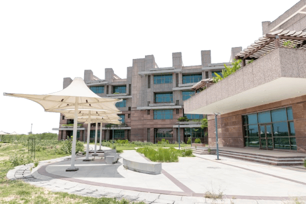 What We Offer Background